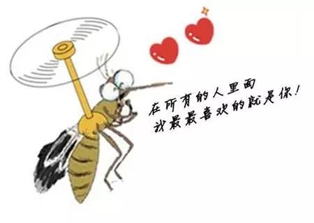 蚊子的生活習性